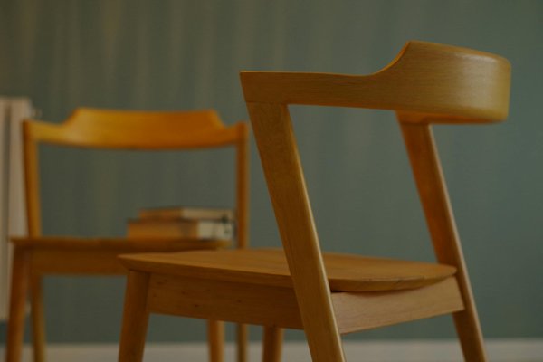 Comment organiser vos plantes d'intérieur pour un design optimal